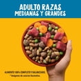 thumbnail image 2 of Croqueta para perro Pedigree Adulto Seco Res 25Kg, 2 of 4