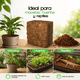 thumbnail image 3 of Smart Garden - Fibra de coco comprimida 2 x 7.5 L, 100% natural y biodegradable. Alta porosidad y drenaje. Ideal para macetas, huertos urbanos y reptiles. Hecha en México. Incluye 2 bloques., 3 of 6