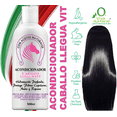 thumbnail image 1 of Acondicionador VIVONATURAL Llegua Vit 500 ml Brillo y Suavidad, 1 of 5