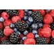 thumbnail image 4 of MERMELADA EXTRA FRUTOS DEL BOSQUE. MEZCLA DE FRESA, FRAMBUESA, ZARZAMORAS Y ARÁNDANOS AZULES ; MARCA CENTRAL DE MERMELADAS, 4 of 5