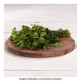 thumbnail image 2 of Hierba Buena por Pieza, 2 of 5