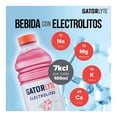 thumbnail image 3 of Bebida hidratante Gatorlyte sabor fresa-kiwi 591 ml, 3 of 5