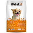 thumbnail image 1 of Gala 4, 1 of 1