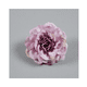 thumbnail image 2 of 50 Cabezas Flores Rosa Artificial Decoración Boda Fiesta 5cm MORADO, 2 of 4