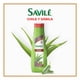 thumbnail image 2 of Shampoo Savilé 2 en 1 Chile 700 ml, 2 of 5