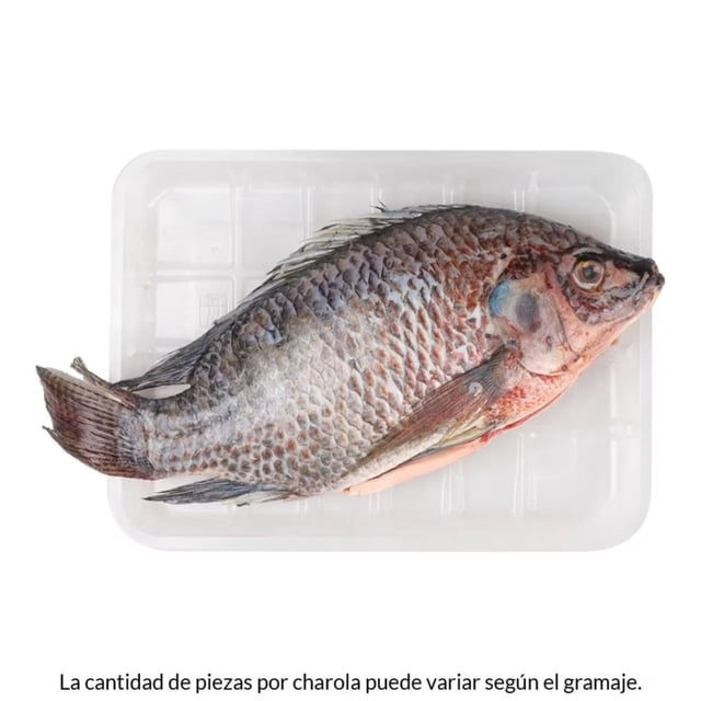 Mojarra Tilapia peso por kilo aproximado por charola 450 g