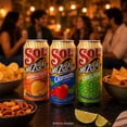 thumbnail image 3 of Cerveza Sol Mezclas Sabor Mangoyada lata 473 ml, 3 of 4
