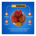 thumbnail image 4 of Alimento para Perro Ganador Cachorro Todas las Razas 4 kg, 4 of 4