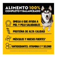 thumbnail image 3 of Alimento Seco para Perro Pedigree Adulto High Protein 4.5 kg, 3 of 4
