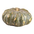 thumbnail image 4 of Calabaza de castilla por kilo, 4 of 5