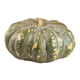 thumbnail image 4 of Calabaza de castilla por kilo, 4 of 5
