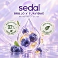 thumbnail image 3 of Acondicionador Sedal Brillo y Suavidad Arándano y Óleos 620 ml, 3 of 6