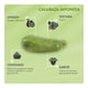 thumbnail image 4 of Calabaza Japonesa Por Kilo, 4 of 9