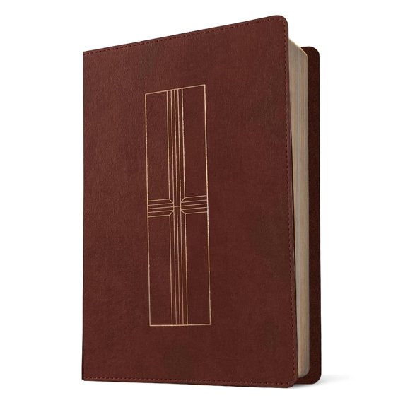 Santa Biblia Nueva traducción viviente