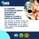 thumbnail image 2 of Set de 4 Filtros para Cafetera Krups Repuesto para parte F088, 2 of 5