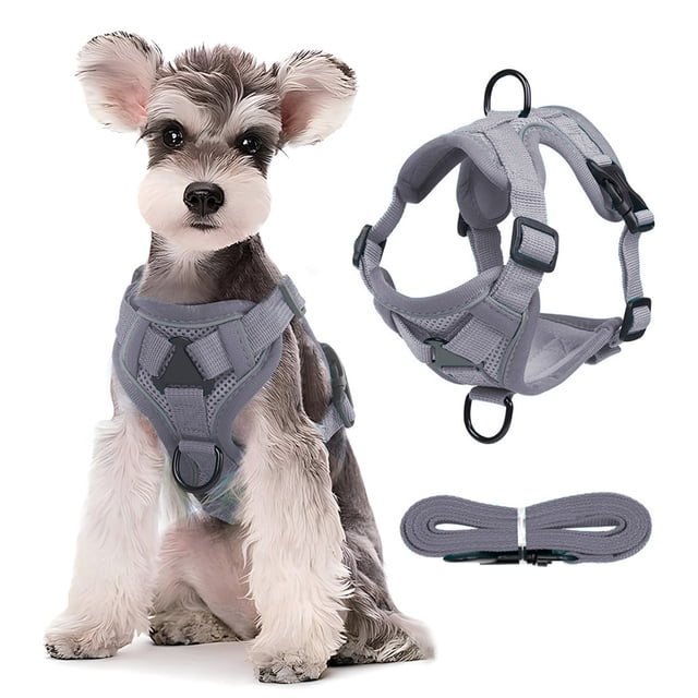 xihbxyly correa para mascotas arnés de malla transpirable reflectante. Vista frontal de perrito pequeño sentado con arnés gris acolchado, tirantes anchos, anilla en D frontal y hebillas ajustables; vista 3/4 muestra el arnés y otra imagen la correa enrollada. Diseño para control de tracción ajustable y visibilidad nocturna segura, poliéster durade, color multicolor #5; también suele usarse como arnés de viaje ligero para paseos diarios.