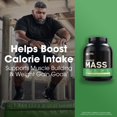 thumbnail image 2 of ON SERIOUS MASS VAINILLA 6 LIBRAS OPTIMUM NUTRITION ON SERIOUS MASS VAINILLA 6 LIBRAS, 2 of 7