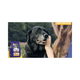 thumbnail image 4 of Croquetas para Perro NUCAN by NUPEC Adulto Senior 15 kg, 4 of 4