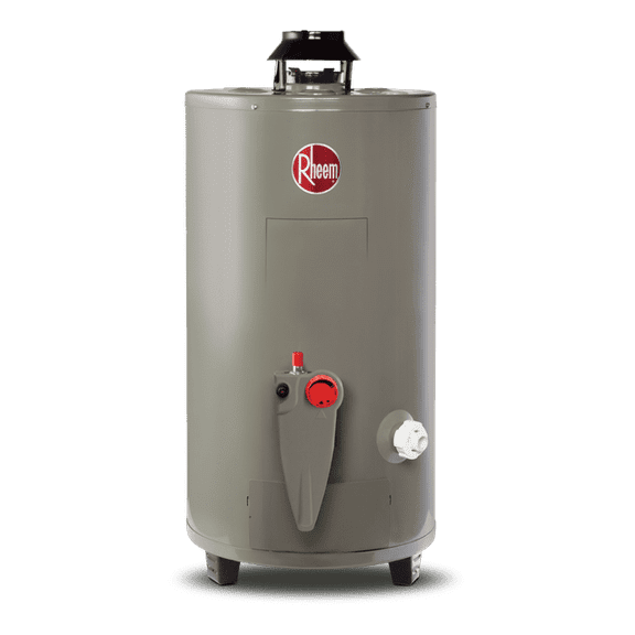 Calentador de Agua Todo Terreno Rheem 48 Litros a Gas LP 2 Servicios 29V13HR/692210