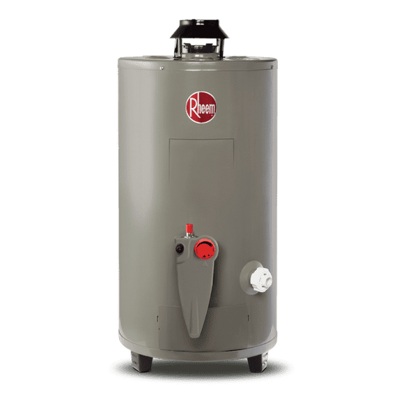 Calentador de Agua Todo Terreno Rheem 48 Litros a Gas LP 2 Servicios 29V13HR/692210