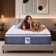 thumbnail image 2 of Colchon Spring Air Individual Vendome + 1 Almohada SC, 2 of 9