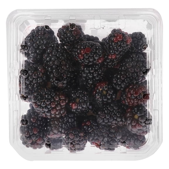 Zarzamora Fresca 170 G