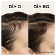 thumbnail image 4 of Suero John Frieda UltraFiller+ para densidad capilar 60 ml, 4 of 5