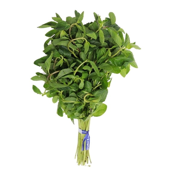 Menta Fresca por Pieza