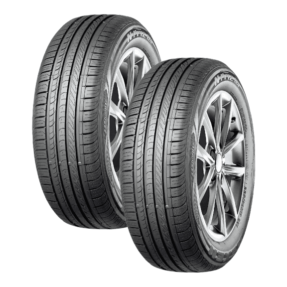Paquete de 2 Llantas 195/65R15 NEXEN NPRIZ GX 91V Nexen  Npriz Gx