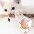 thumbnail image 3 of 5-10pcs Cat Toys Silvervine Chew Stick Healthy Kitten Treat Catnip Toy Cleaning Teeth Toys, 3 of 5