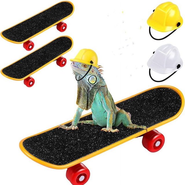 Juguetes de piscina, juguetes para bebés, juguetes para niños pequeños, superventas, casco para mascotas, patineta, juego de 3, sombrero de ingeniería para mascotas, casco, hámster, lagarto, juguete,