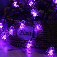 thumbnail image 1 of Xihbxyly Guirnalda de Luces de Araña para Halloween, 20 Led a Pilas, Impermeable, para Exteriores, Luz Morada, para Jardín, Patio, Porche, Ideal para Halloween, 3 M de Largo., 1 of 7