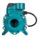 thumbnail image 2 of Bomba de agua eléctrica periférica Iusa 1 HP azul, 2 of 8