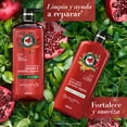 thumbnail image 5 of Acondicionador Herbal Essences Pelo largo Granada & Proteína Vegana 600 ml, 5 of 5