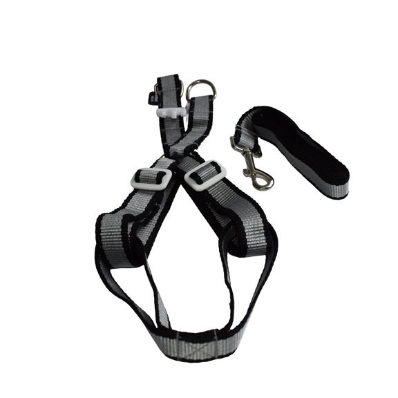Arnes con correa para mascota Infanti Pets negro grande