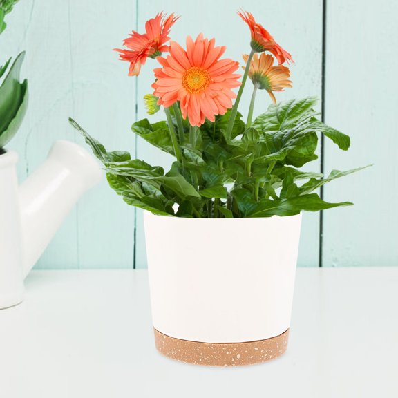 KALLORY 2Ud Planters for Indoor Plants Plastic Flower Pots Sturdy Assorted Colors Garden Use