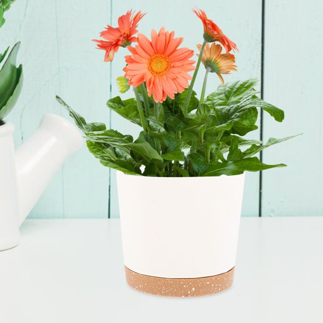 KALLORY 2Ud Planters for Indoor Plants Plastic Flower Pots Sturdy Assorted Colors Garden Use