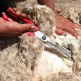 thumbnail image 2 of Tijeras Profesionales Para Esquilar Ovejas/Cabras, Acero Al Carbono Con Resorte, Corte Preciso Para Ganado Y Mascotas, Diseño Ergonómico, 2 of 9
