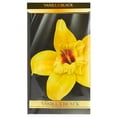 thumbnail image 2 of Aromatizante para Auto Areon Vainilla, 2 of 4
