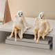 thumbnail image 4 of Fantasma de Halloween CLLC, Figura Decorativa de Halloween, Estatua de Fantasma Divertida y Sexy para Fiestas, Hogar, Dormitorio, Estante, Mesa, Centro de Mesa, Escultura de Fantasma de Resina (A), 4 of 8