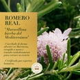 thumbnail image 4 of Shampoo Herbal Essences Bio:Renew Rosemary & Herbs 400 ml, 4 of 5