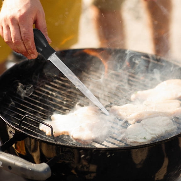 FONDOTIN Baster Para Cocina De Plástico Negro Para Pavo Y Carnes Variadas