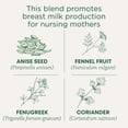 thumbnail image 4 of Té Tradicional Medicinals Orgánico Mother's Milk 48 Bolsitas, 4 of 7