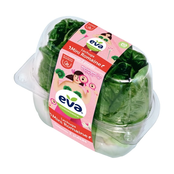 Lechuga Mini Romaine Eva Hidropónica 2 Piezas