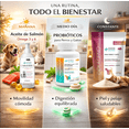 thumbnail image 4 of Kit De Suplementos Para Perros Y Gatos Medical Solutions Colágeno Probióticos Omega 3 Kit Completo De Suplementos Para Mascotas Perro Y Gato, 4 of 8