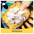thumbnail image 4 of Gelatina a base de leche Danette sabor coco 100 g, 4 of 4