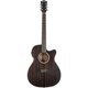 thumbnail image 3 of Guitarra electroacústica Washburn Dfeace Ebony Ace, 3 of 3