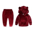 thumbnail image 1 of Chándales De Ropas Deportivas Sudadera Con Capucha De Bolsillo Frontal Con Pantalones Casuales Para Bebés Niños 18-24M, 1 of 8