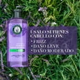 thumbnail image 3 of Shampoo Herbal Essences Anti-Frizz Lavanda & Aceite de Almendras 240 ml, 3 of 5