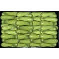 thumbnail image 2 of Chayote Con Espinas Por Kilo, 2 of 8